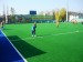 P1020311.JPG